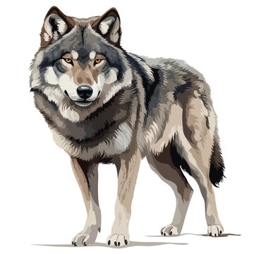 Wolf Clipart isolated on white background