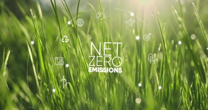 Net zero , carbon neutral concept. Net zero greenhouse gas emissions target. Climate neutral long term strategy with  net zero icon and  icons on  circles green grass background.