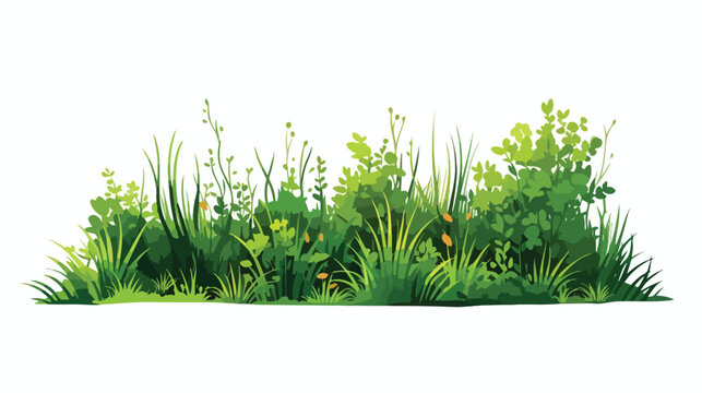 Grass shrubs. Image for landscape flat vector isolat