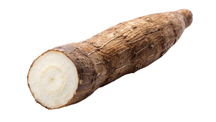 Cassava root isolated on Transparent background.