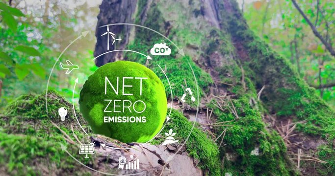 Net zero and carbon neutral concept. Green Globe with Net zero icons In Green Forest With Sunlight. Net zero greenhouse gas emissions target Climate neutral long term strategy on a green background. 4