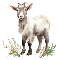 Watercolor Farm Goat Clipart 