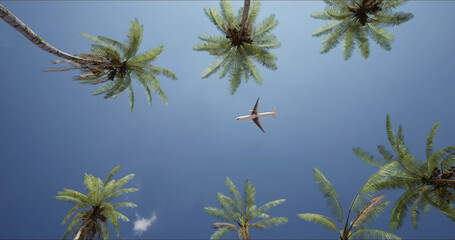 Fototapeta premium Long-haul passenger plane flying over a resort with palm trees on a sunny day. Bottom view. The concept of an exotic vacation.