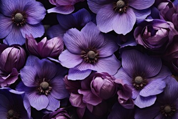Stunning Purple flowers closeup. Blossom nature. Generate Ai
