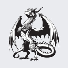 wyvern ancient dragon majestic pose drawing art style black and white vector illustration