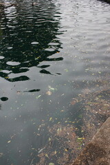 reflections on water