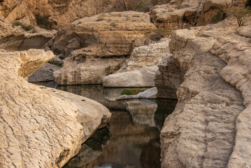 Water pools in the canyon, Wadi Bani Khalid, Oman
