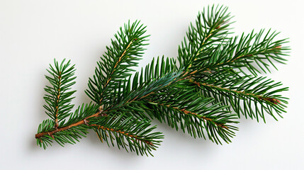 3d christmas leaf branch on blank white background, greeting cards, mockups, banners, portrait 