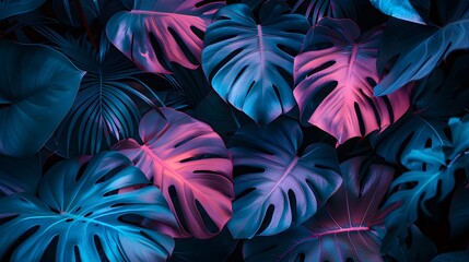 Fototapeta na wymiar tropical leaves in neon light