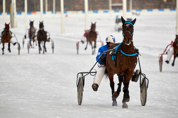 Horse race on snow-covered Moscow hippodrome on winter day. Central Moscow Hippodrome was founded in 1834. - obrazy, fototapety, plakaty