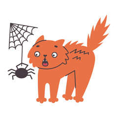 Scared cat. The cat was scared of the spider on the web. Simple flat vector cartoon illustration