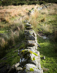 Ancient stone wall on Dartmoor