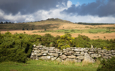 Dartmoor stone wall with granite tor in the distance