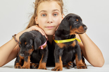 Portrait of girl with two little doberman puppies.