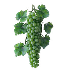 Obraz premium fresh grapes, green leaves isolated on transparent background