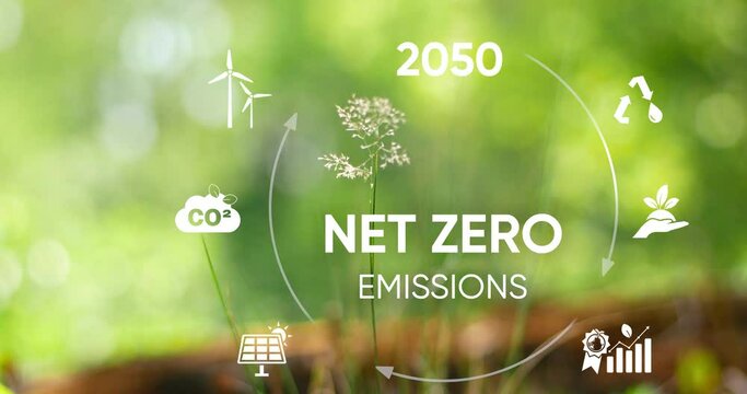 Net zero and carbon neutral concept. Net zero greenhouse gas emissions target. Climate neutral long term strategy on a green background.4k video