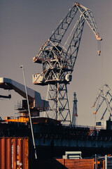 Port cargo crane and container ship in shipyard. Industrial background.