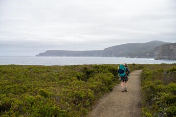 Woman and toddler hiking in the Tasmanian wilderness in the bush under the mountain and above the water camping in the wild with a backpack in Australia