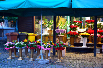 Flower market at the Salt Market Square (or Salt Square) in Wroclaw, Poland