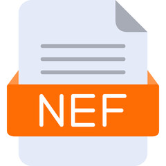 NEF File Format Vector Icon Design