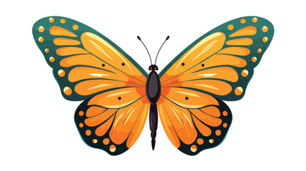 Vector illustration of butterfly on white background