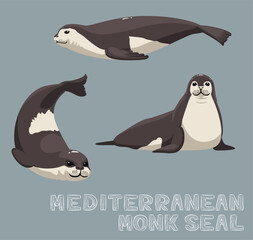 Mediterranean Monk Seal Cartoon Vector Illustration