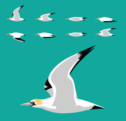 Gannet Bird Flying Animation Sequence Cartoon Vector Illustration