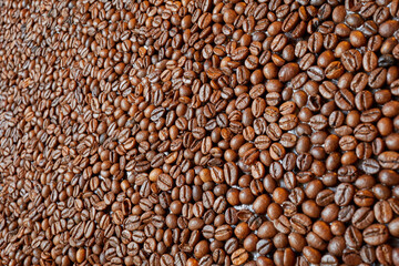 Layer of roasted coffee beans, background, shallow dof.