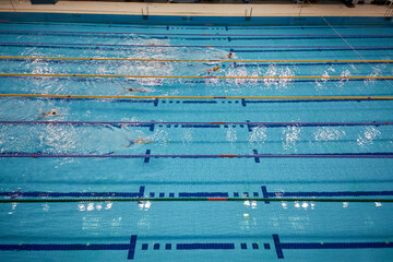 Women swim on lanes in swimming pool.