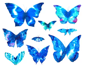 Fotobehang Aquarel prints Beautiful spring blue butterflies. Watercolor illustration on white background