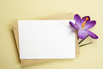 Greeting card mockup with beautiful  purple saffron flower on a beige background. Top view, flat lay. Space for text. Holiday card. Spring minimal concept.