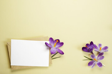Beautiful spring violet crocuses in postal envelope and blank sheet with space for text on a beige background. Top view, flat lay. Copy space.