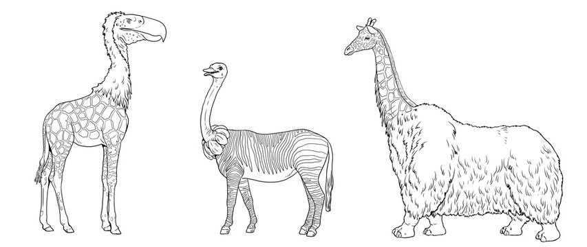 Coloring page with the animals mutants. Coloring book with fantasy creatures.