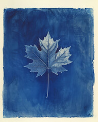 a flatbed scan of a cyanotype print of a single plant leaf, with paper texture, grain, dust, and artefacts that make the scan feel as physical as possible