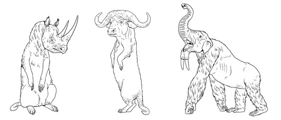 Coloring page with the animals mutants. Coloring book with fantasy creatures.