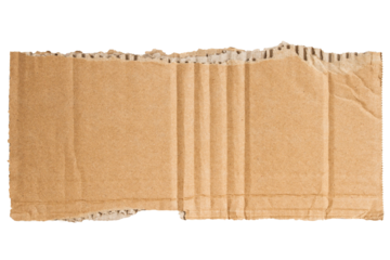 Scrap of cardboard on empty background