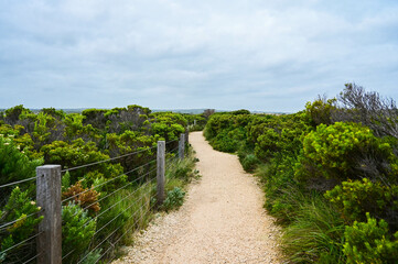Fototapeta na wymiar Sea coast dune with wooden walkway
