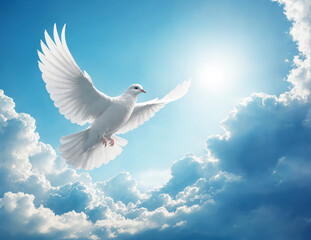 Obraz premium Beautiful White dove flying in the sky with epic clouds