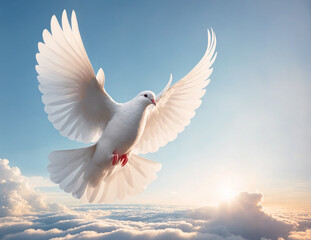 Beautiful White dove flying in the sky with epic clouds