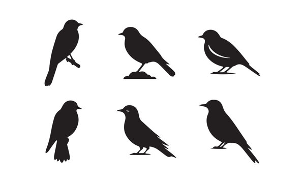 birds silhouette icons set simple style vector image,black and white humming birds vector,silhouettes set 00