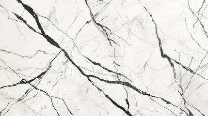 Fototapeta premium Elegant White Marble Texture with Black Veins for Background Design