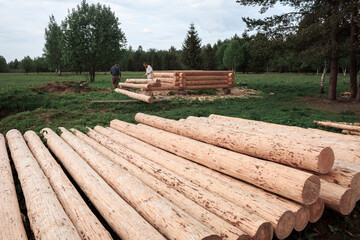 Two men are building a wooden house from logs in nature, cutting logs with axes, shavings, logs in the foreground, construction, village, summer, greenery, forest, summer.
