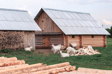 Lots of logs in the foreground, wooden buildings, village, summer, greenery, goats, no people, cattle breeding, farming.