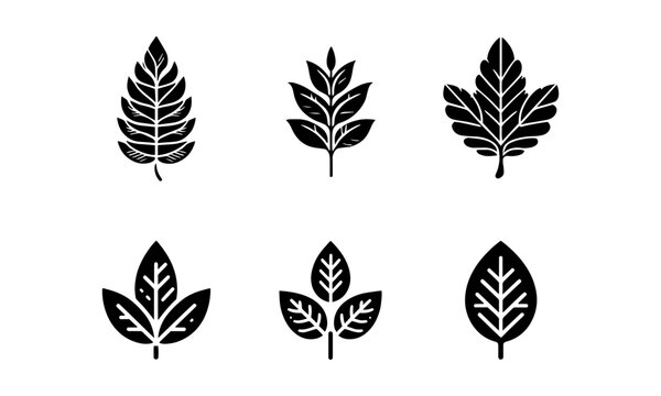Leaf silhouette icons set simple style vector image,black and white leaf vector set,silhouettes set 04