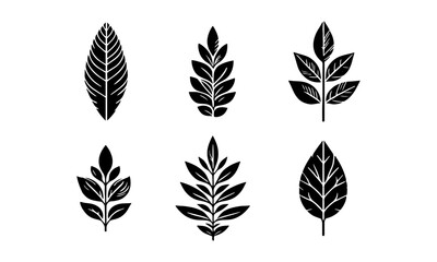 Leaf silhouette icons set simple style vector image,black and white leaf vector set,silhouettes set