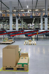 Modern warehouse with cardboard boxes, conveyors for sorting of goods