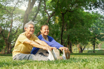 happy asian senior couple in sportswear stretching legs before exercise in the summer park,elderly health care,wellness,wellbeing