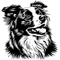 Black Vector Illustration of a Border Collie
