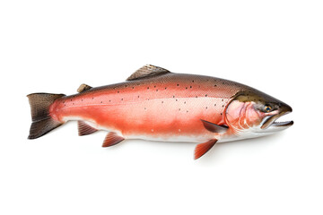 Image of a salmon fish isolated on white background. Fresh fish. Underwater animals. Generative AI.
