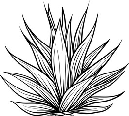 Agave plant silhouette icon in black color. Vector template design.